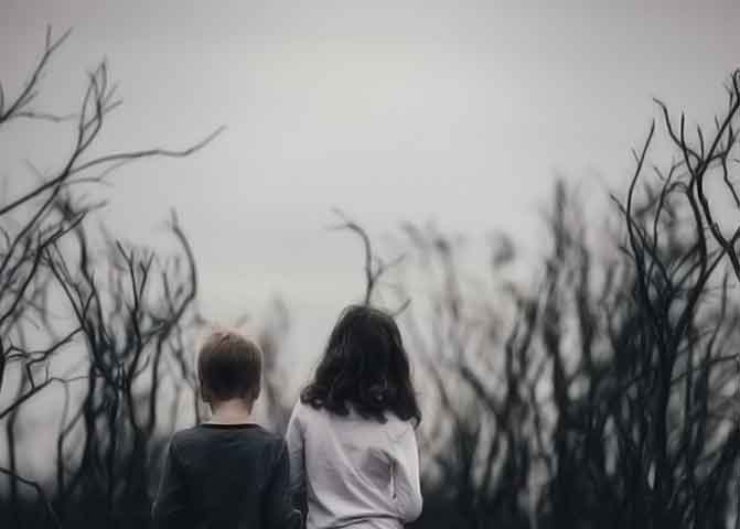 无毒无广告纯净的器测压文章